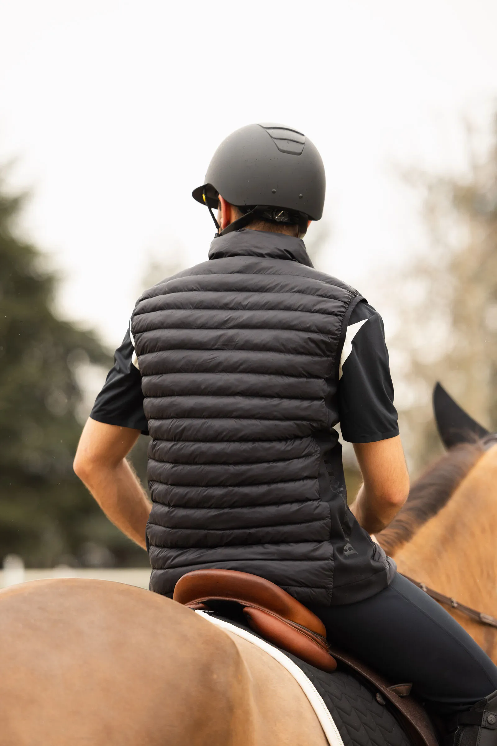 B Vertigo Simon Equitation Padded Ultralight Gilet for Men