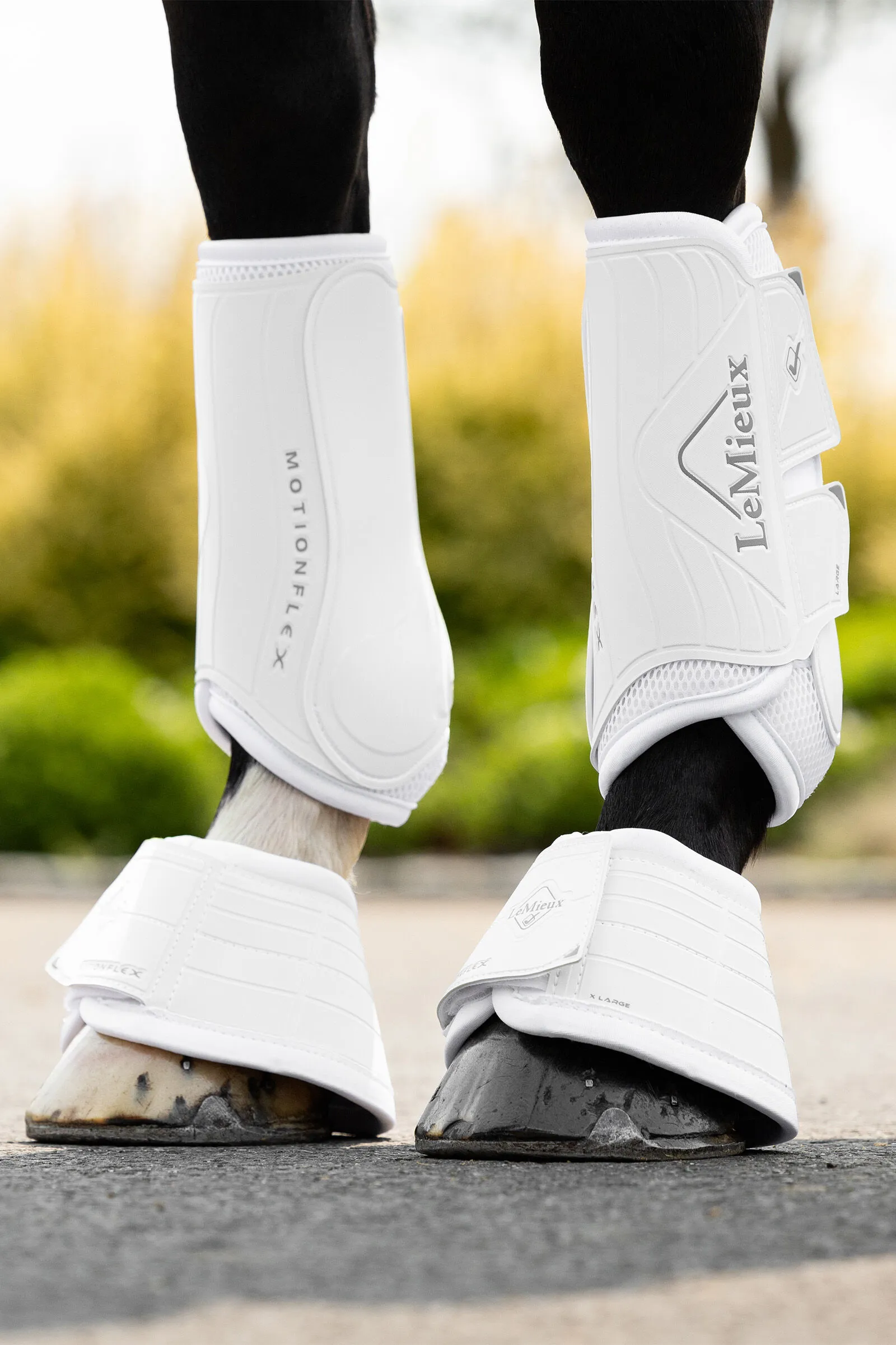 LeMieux Motionflex Paraglomi Boots - Buy Now