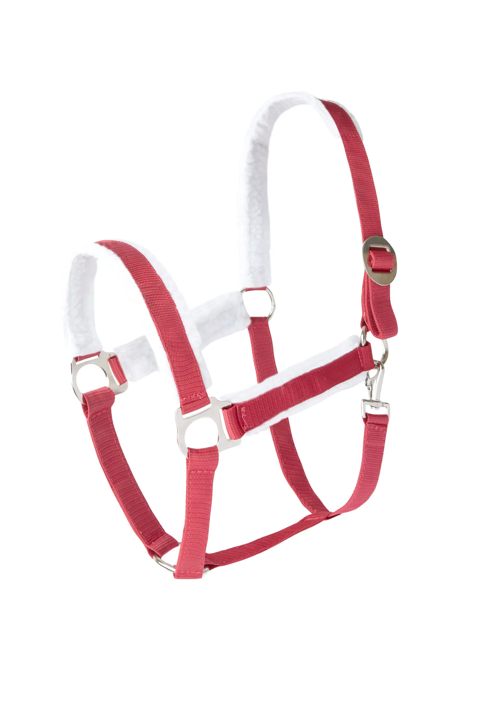 Natale horse halter