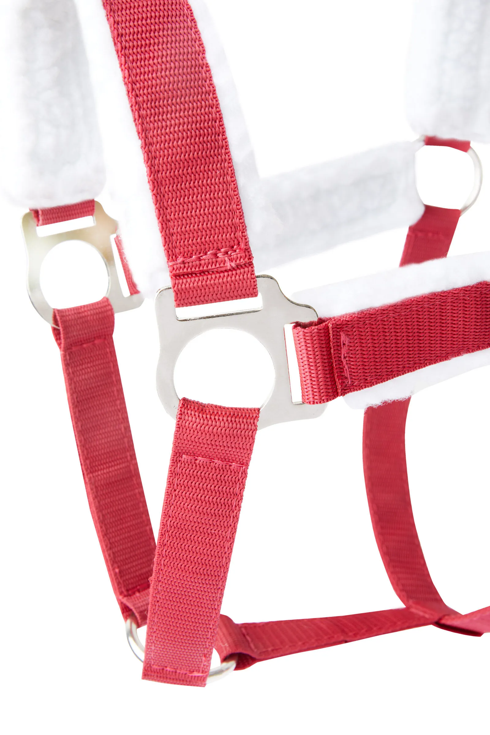Natale horse halter