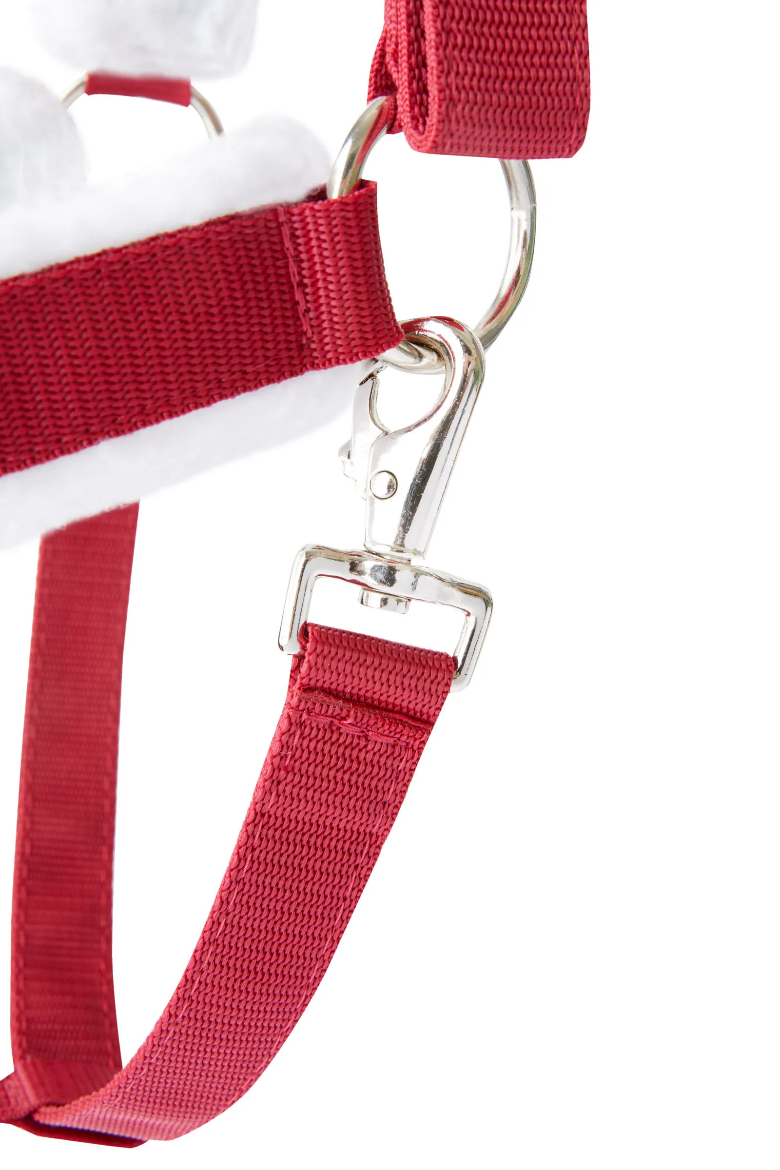 Natale horse halter