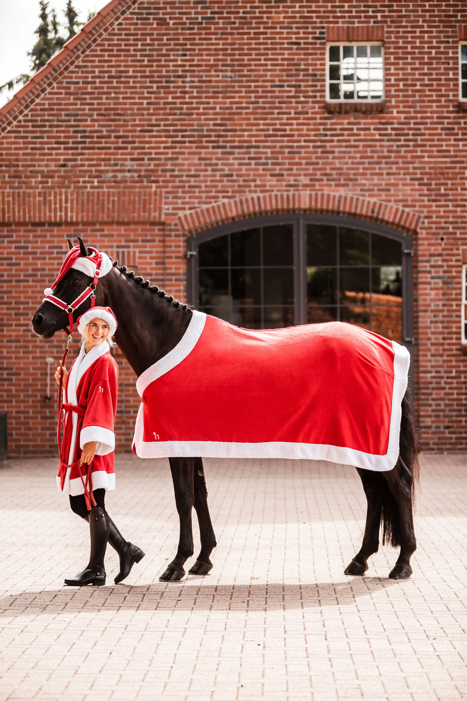 Natale horse halter