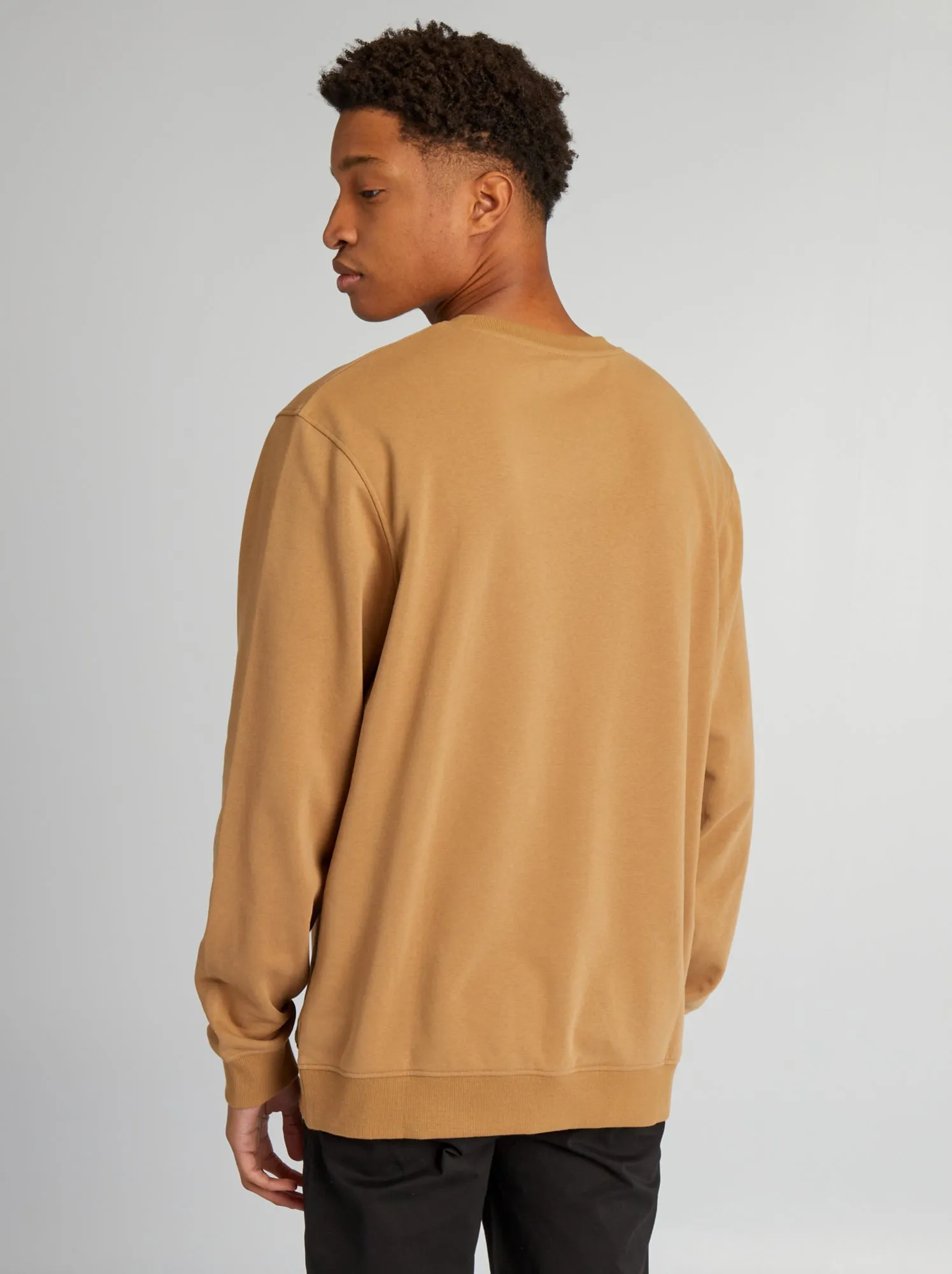 Plain color sweater, round neck, +190 cm - BEIGE